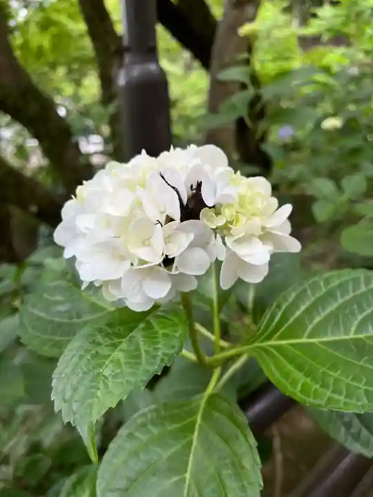 長谷寺(奈良県)