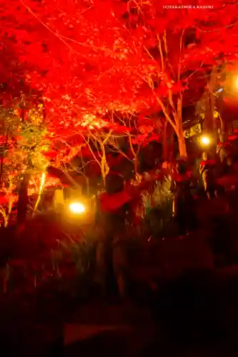 大山寺(神奈川県)