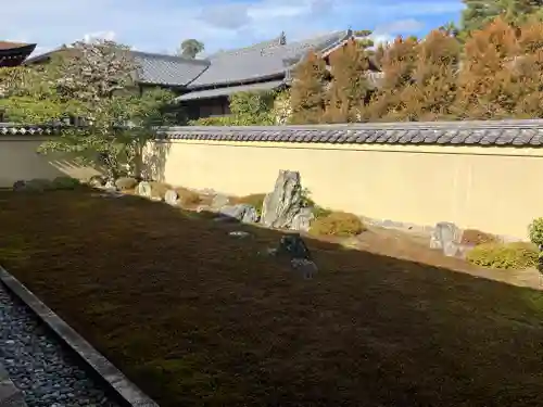 龍源院の庭園