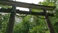 戸隠神社奥社の鳥居