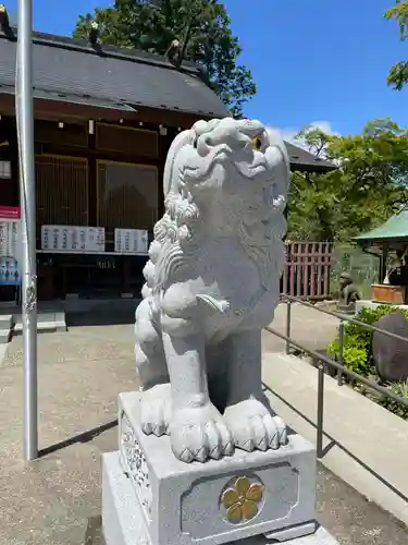 櫻岡大神宮の狛犬
