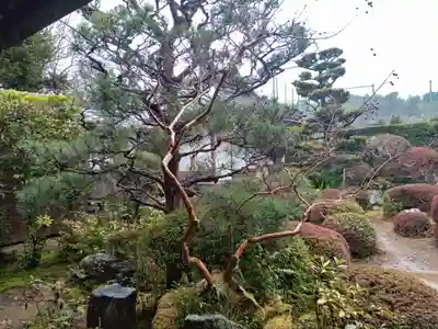 穴太寺(京都府)