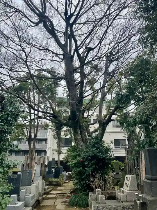誓閑寺の{uncategorized: "未分類", other: "その他", undefined: "問題あり", building: "その他建物", grave: "お墓", sacred_gate: "鳥居", guardian: "狛犬", statue: "像", buddha: "仏像", history: "歴史", nature: "自然", garden: "庭園", animal: "動物", pagoda: "塔", temizu: "手水舎", mountain_gate: "山門・神門", sanctuary: "本殿・本堂", subordinate: "末社・摂社", art: "芸術", scenery: "景色", jizo: "地蔵", ema: "絵馬", goshuin: "御朱印", omikuji: "おみくじ", items: "授与品その他", amulet: "お守り", goshuincho: "御朱印帳", eats: "食事", festival: "お祭り", votive_dance: "神楽", shichigosan: "七五三参", wedding: "結婚式", experience: "体験その他", initially: "初詣", around: "周辺", anti_infection: "感染症対策"}