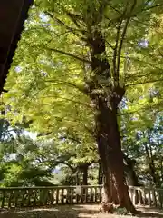 事任八幡宮の庭園