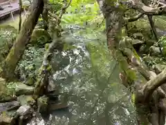 禅林寺（永観堂）(京都府)