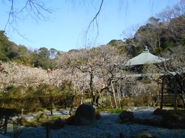 瑞泉寺の庭園