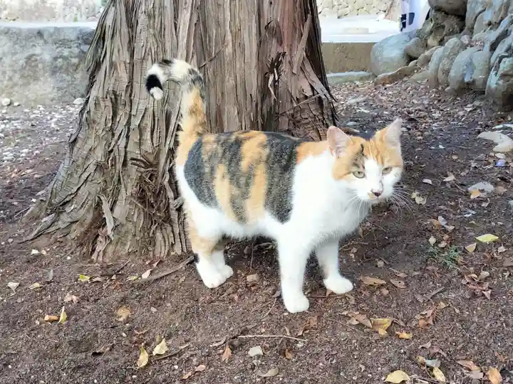 恵林寺(山梨県)