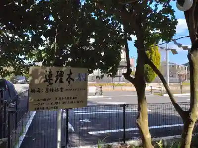 乙宮神社の自然