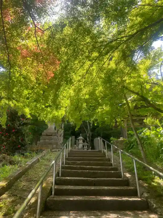珍蔵寺 の{uncategorized: "未分類", other: "その他", undefined: "問題あり", building: "その他建物", grave: "お墓", sacred_gate: "鳥居", guardian: "狛犬", statue: "像", buddha: "仏像", history: "歴史", nature: "自然", garden: "庭園", animal: "動物", pagoda: "塔", temizu: "手水舎", mountain_gate: "山門・神門", sanctuary: "本殿・本堂", subordinate: "末社・摂社", art: "芸術", scenery: "景色", jizo: "地蔵", ema: "絵馬", goshuin: "御朱印", omikuji: "おみくじ", items: "授与品その他", amulet: "お守り", goshuincho: "御朱印帳", eats: "食事", festival: "お祭り", votive_dance: "神楽", shichigosan: "七五三参", wedding: "結婚式", experience: "体験その他", initially: "初詣", around: "周辺", anti_infection: "感染症対策"}