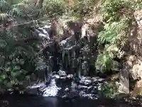 中山鳥瀧神社の{uncategorized: "未分類", other: "その他", undefined: "問題あり", building: "その他建物", grave: "お墓", sacred_gate: "鳥居", guardian: "狛犬", statue: "像", buddha: "仏像", history: "歴史", nature: "自然", garden: "庭園", animal: "動物", pagoda: "塔", temizu: "手水舎", mountain_gate: "山門・神門", sanctuary: "本殿・本堂", subordinate: "末社・摂社", art: "芸術", scenery: "景色", jizo: "地蔵", ema: "絵馬", goshuin: "御朱印", omikuji: "おみくじ", items: "授与品その他", amulet: "お守り", goshuincho: "御朱印帳", eats: "食事", festival: "お祭り", votive_dance: "神楽", shichigosan: "七五三参", wedding: "結婚式", experience: "体験その他", initially: "初詣", around: "周辺", anti_infection: "感染症対策"}