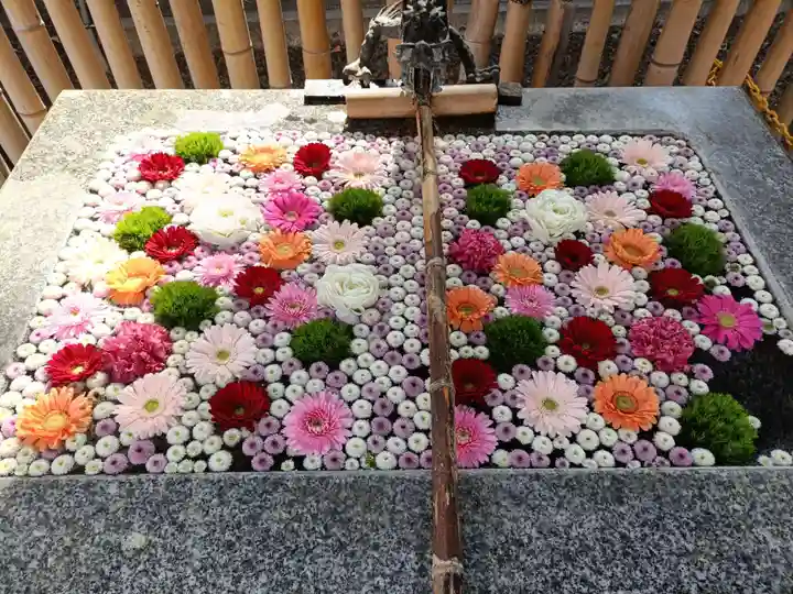 高円寺氷川神社(東京都)