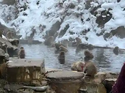 上林不動尊の{uncategorized: "未分類", other: "その他", undefined: "問題あり", building: "その他建物", grave: "お墓", sacred_gate: "鳥居", guardian: "狛犬", statue: "像", buddha: "仏像", history: "歴史", nature: "自然", garden: "庭園", animal: "動物", pagoda: "塔", temizu: "手水舎", mountain_gate: "山門・神門", sanctuary: "本殿・本堂", subordinate: "末社・摂社", art: "芸術", scenery: "景色", jizo: "地蔵", ema: "絵馬", goshuin: "御朱印", omikuji: "おみくじ", items: "授与品その他", amulet: "お守り", goshuincho: "御朱印帳", eats: "食事", festival: "お祭り", votive_dance: "神楽", shichigosan: "七五三参", wedding: "結婚式", experience: "体験その他", initially: "初詣", around: "周辺", anti_infection: "感染症対策"}