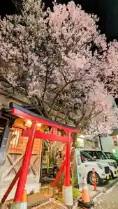 金蛇水神社(宮城県)(2024年04月06日(土) 19時12分32秒投稿)