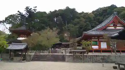 金剛寺のその他建物