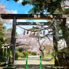 矢奈比賣神社（見付天神）の鳥居