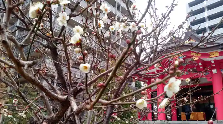 成子天神社の自然