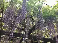 日吉神社の庭園