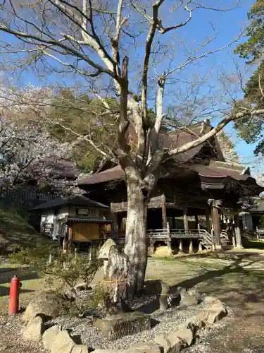 蚊里田八幡宮の{uncategorized: "未分類", other: "その他", undefined: "問題あり", building: "その他建物", grave: "お墓", sacred_gate: "鳥居", guardian: "狛犬", statue: "像", buddha: "仏像", history: "歴史", nature: "自然", garden: "庭園", animal: "動物", pagoda: "塔", temizu: "手水舎", mountain_gate: "山門・神門", sanctuary: "本殿・本堂", subordinate: "末社・摂社", art: "芸術", scenery: "景色", jizo: "地蔵", ema: "絵馬", goshuin: "御朱印", omikuji: "おみくじ", items: "授与品その他", amulet: "お守り", goshuincho: "御朱印帳", eats: "食事", festival: "お祭り", votive_dance: "神楽", shichigosan: "七五三参", wedding: "結婚式", experience: "体験その他", initially: "初詣", around: "周辺", anti_infection: "感染症対策"}
