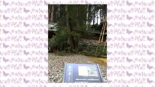 日光山輪王寺 大猷院(栃木県)