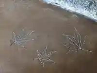 光明院(光明禅院)のその他建物