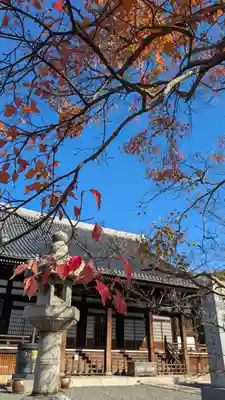 妙覺寺（妙覚寺）(京都府)