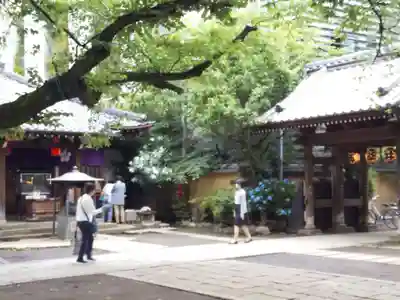 新井薬師（梅照院）のその他建物