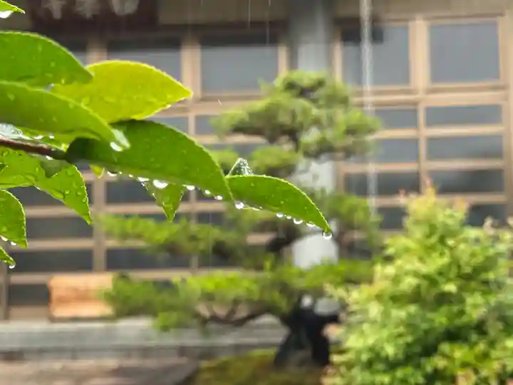 西方山極楽寺(岐阜県)