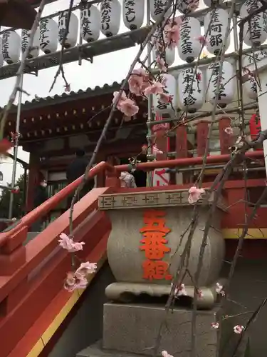 寛永寺不忍池弁天堂の自然