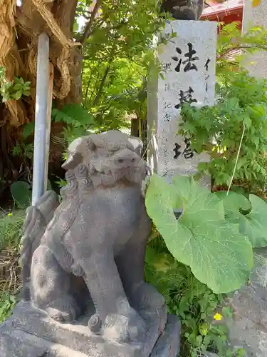 多聞院の狛犬