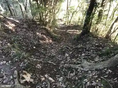 金比羅神社の周辺