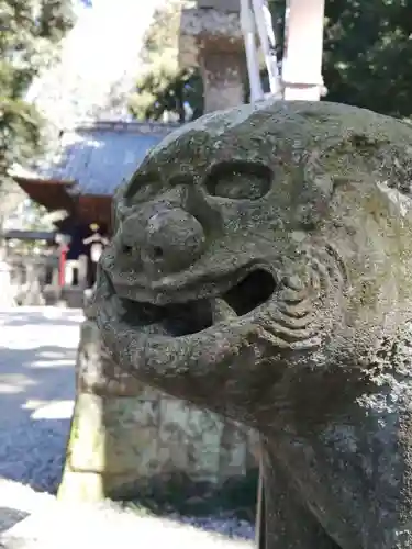 間々田八幡宮の狛犬