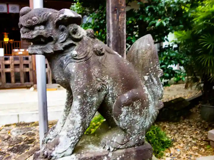 新羽杉山神社の狛犬