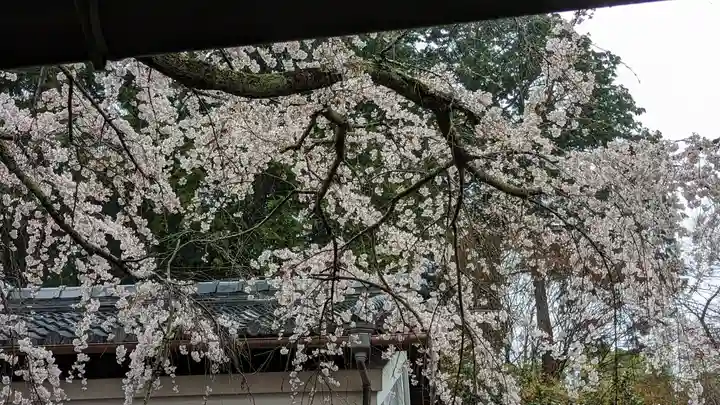 十輪寺(京都府)