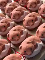 札幌諏訪神社のおみくじ