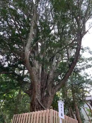 安房神社の自然