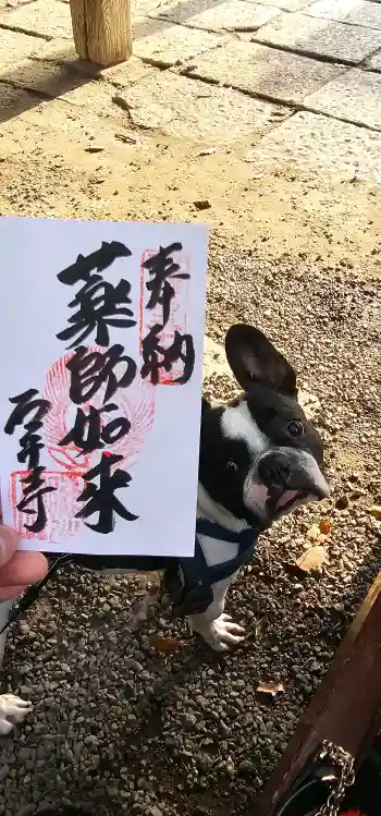 石手寺の御朱印 2026年03月