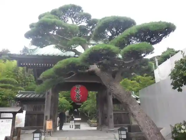 長谷寺の山門・神門