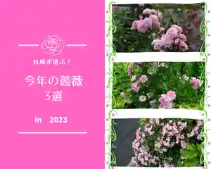 宝光寺(北海道)(2023年12月08日(金) 15時51分23秒投稿)