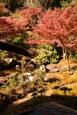 実相院門跡(京都府)