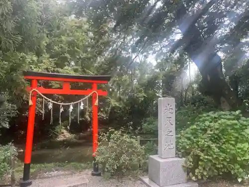 鷲宮神社の鳥居