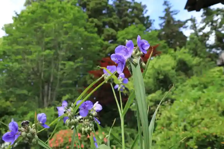 豊景神社の自然