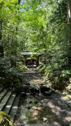 彌彦神社(新潟県)