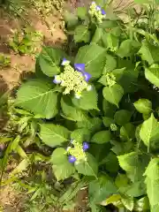 大生郷天満宮の自然