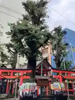 五柱五成神社の自然