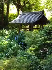 岩船寺(京都府)