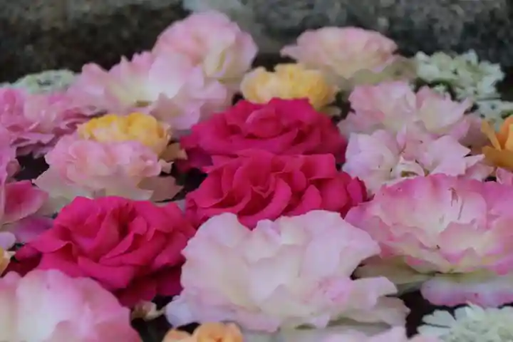 田村神社の手水舎