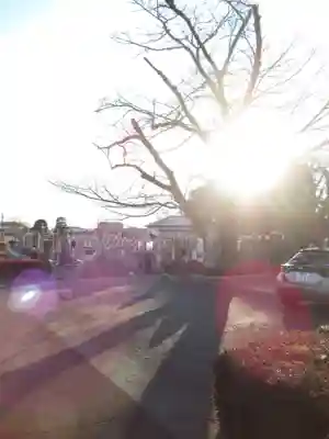 真光寺(千葉県)