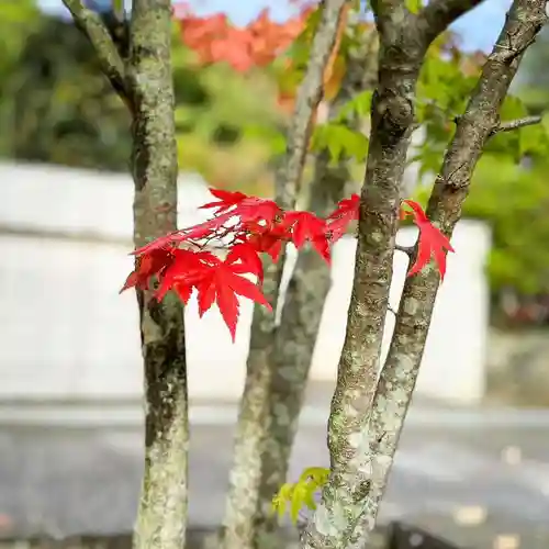 伊勢の国 四天王寺(三重県)
