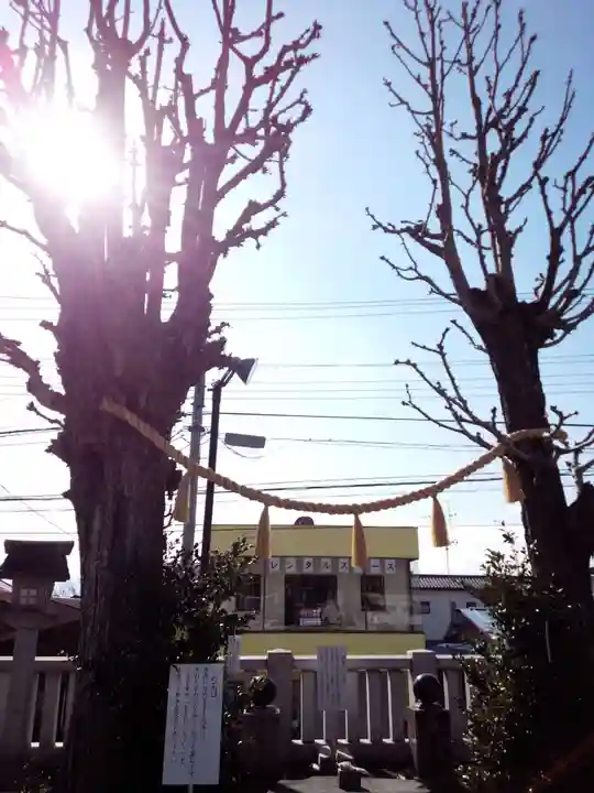 甲斐奈神社の自然