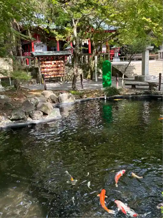 伊豆山神社(静岡県)